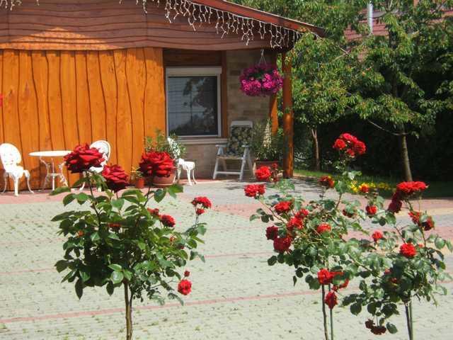 Bed and Breakfast Angela Panzio Береттьоуйфалу Экстерьер фото